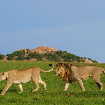 Nkomazi Game Reserve By Newmark Badplaas Exterior foto
