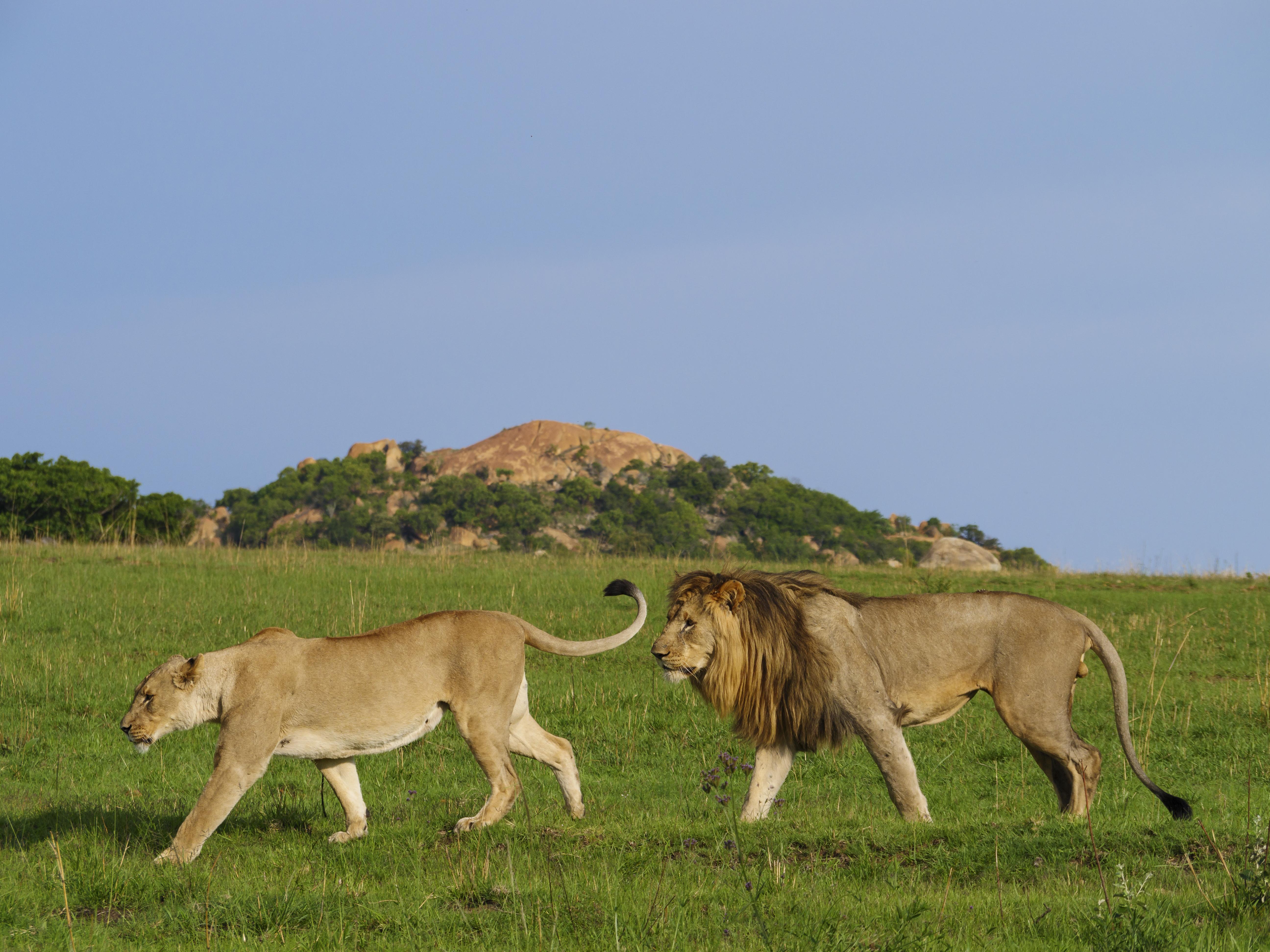 Nkomazi Game Reserve By Newmark Badplaas Exterior foto